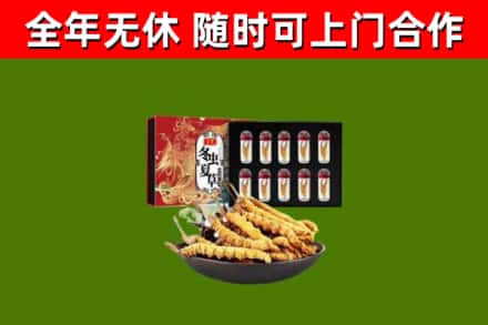重庆市回收冬虫夏草价格